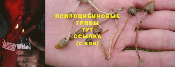 СК Балабаново