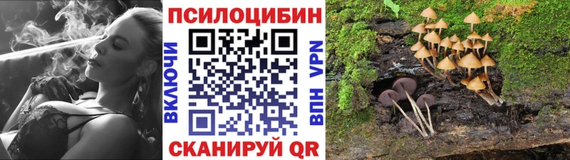 Псилоцибиновые грибы Cubensis  Лосино-Петровский 
